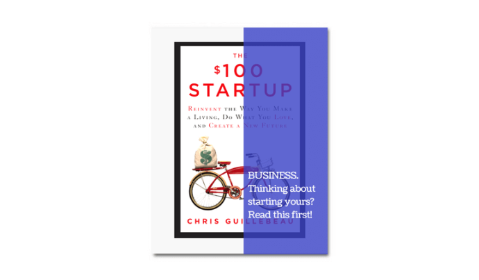 Book review - the $100 Startup Chris Guillebeau